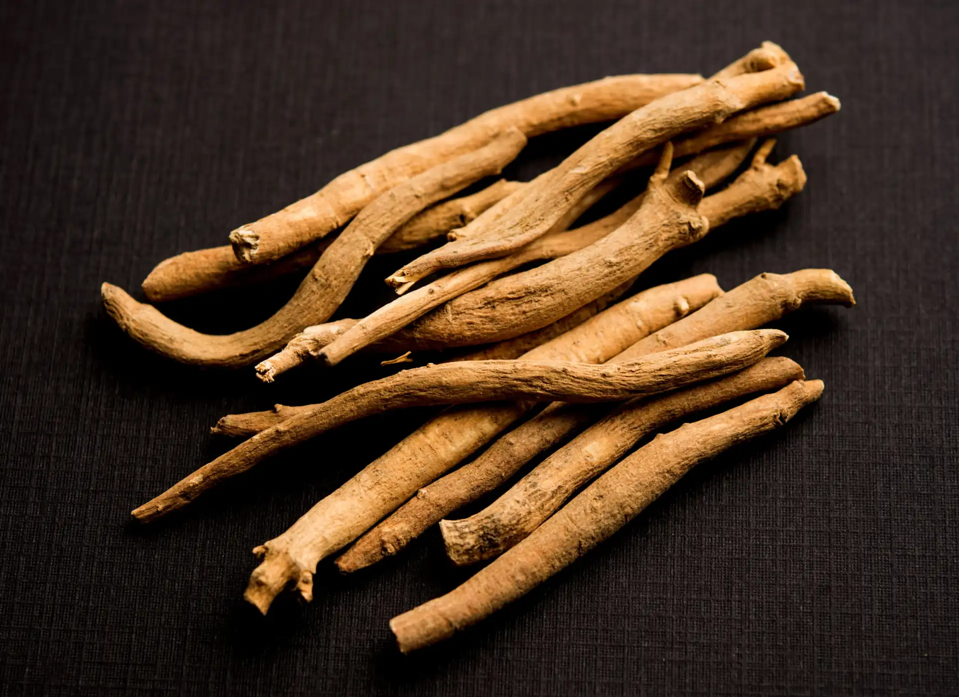 Shatavari Root Extract